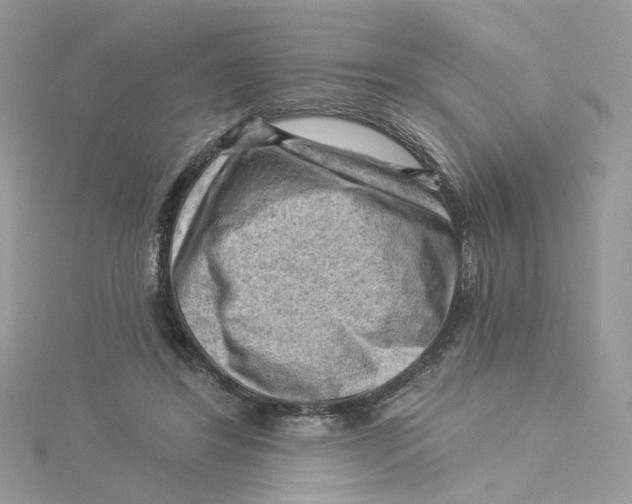 X0000114530404200911161341