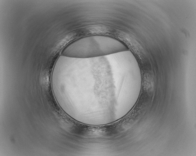 X0000114530405200911161341