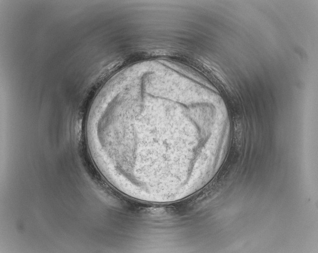 X0000114530406200911161341