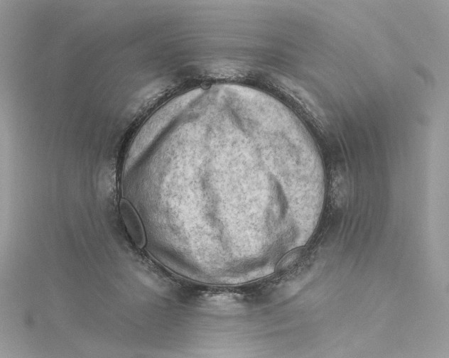 X0000114530407200911161341