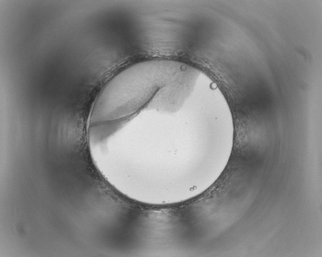 X0000114530411200911161340