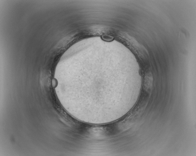 X0000114530413200911161340