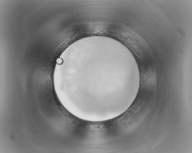 X0000114530415200911161340