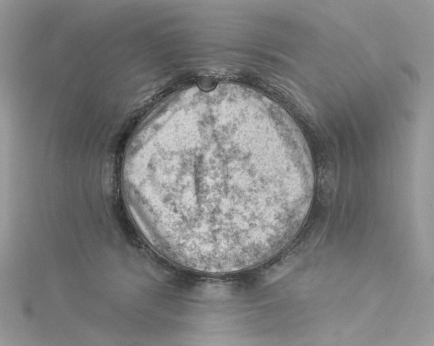 X0000114530416200911161340