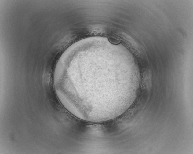 X0000114530417200911161340