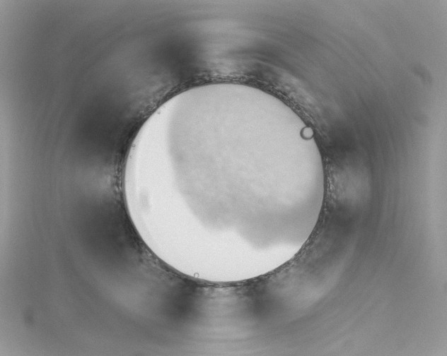 X0000114530419200911161340