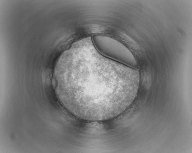 X0000114530421200911161340