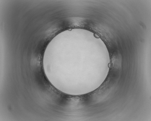 X0000114530423200911161340