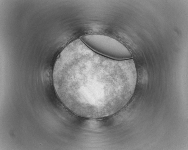 X0000114530425200911161340