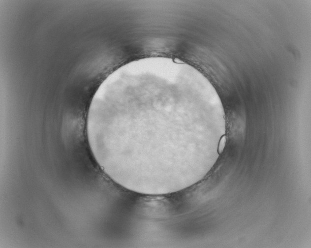 X0000114530427200911161340