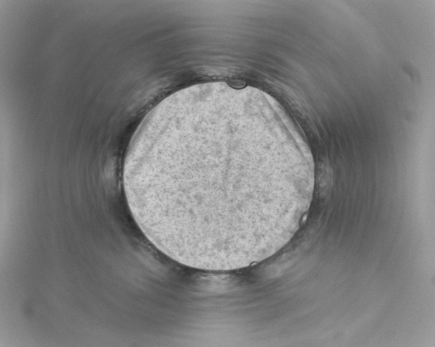 X0000114530428200911161340