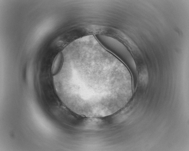 X0000114530429200911161340