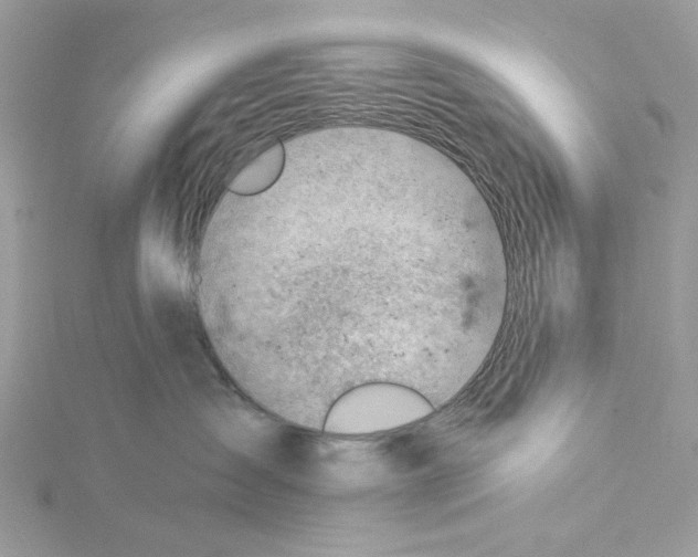 X0000114530431200911161340