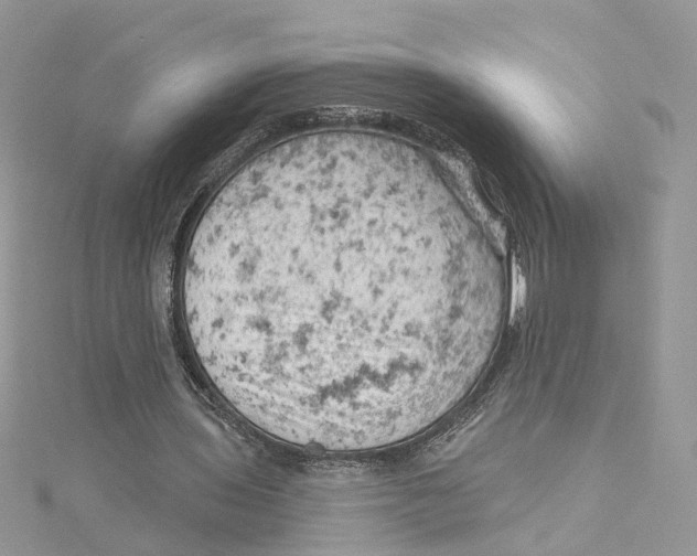 X0000114530435200911161340