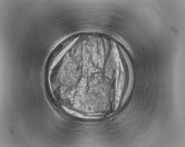 X0000114530436200911161340