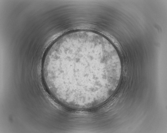 X0000114530437200911161340