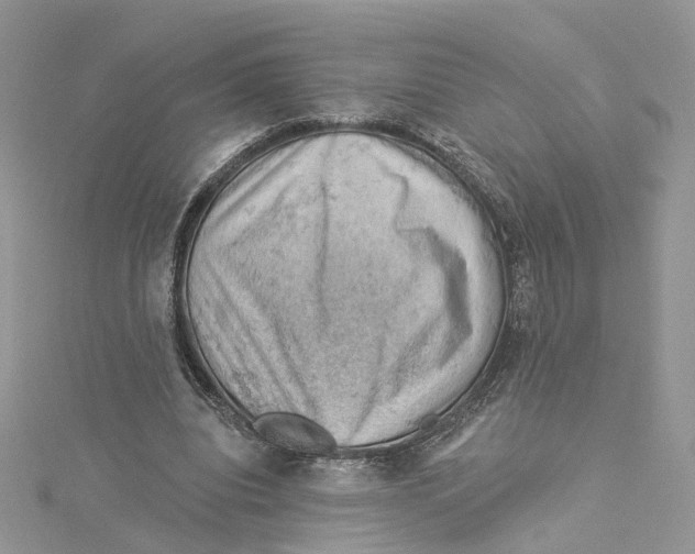 X0000114530440200911161340