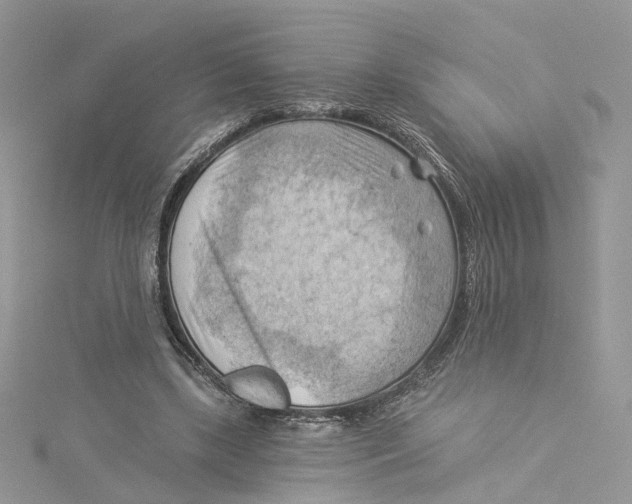 X0000114530443200911161340