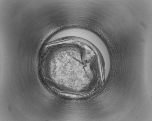 X0000114530444200911161340