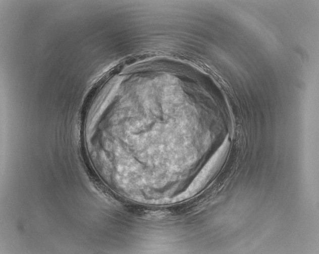 X0000114530446200911161340