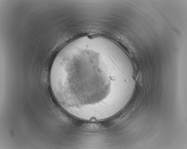 X0000114530449200911161340