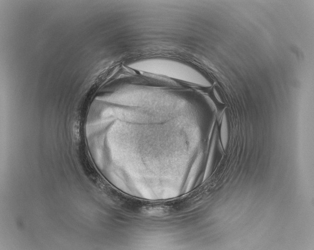 X0000114530452200911161340