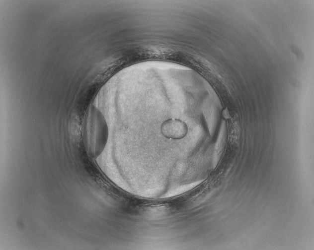 X0000114530456200911161340