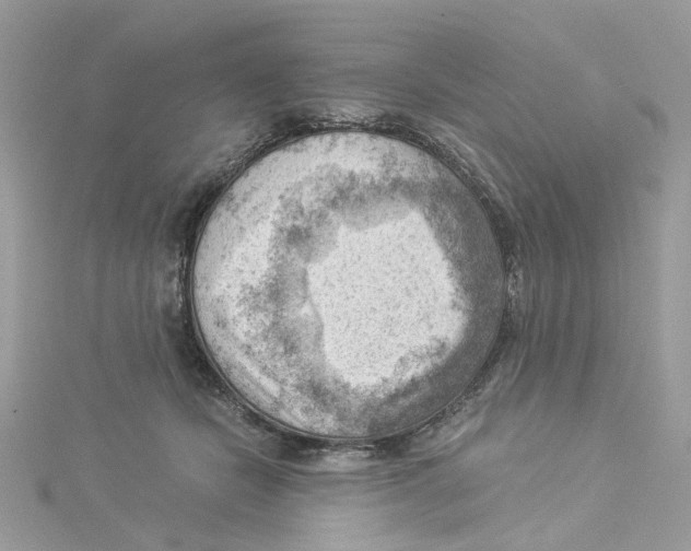 X0000114530462200911161340