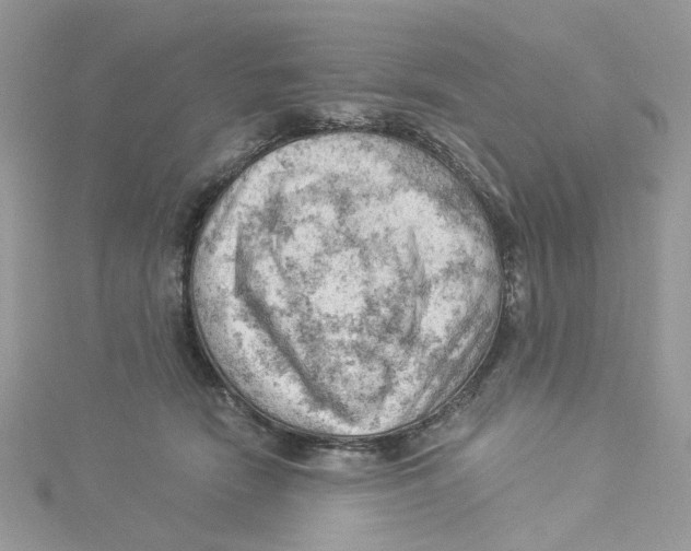 X0000114530466200911161340