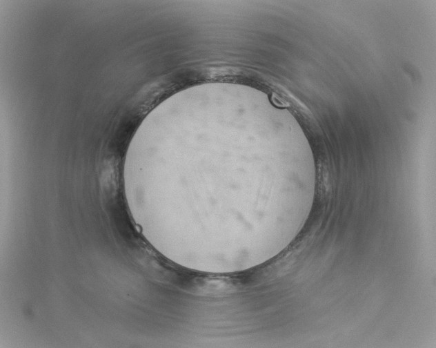 X0000114530475200911161340