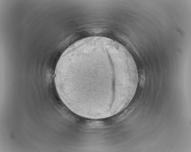 X0000114530476200911161340