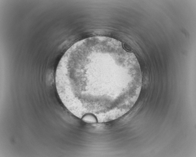 X0000114530478200911161340