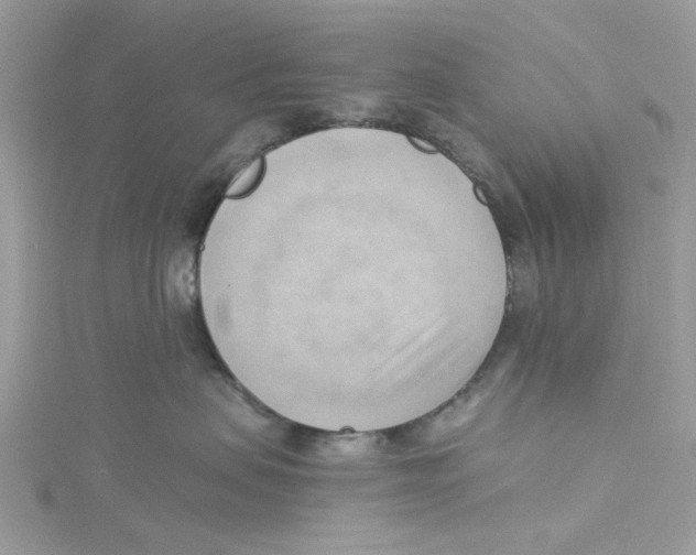 X0000114530479200911161340