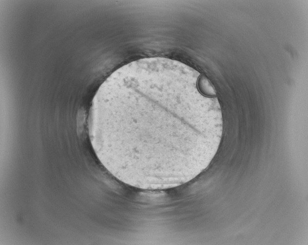 X0000114530480200911161340