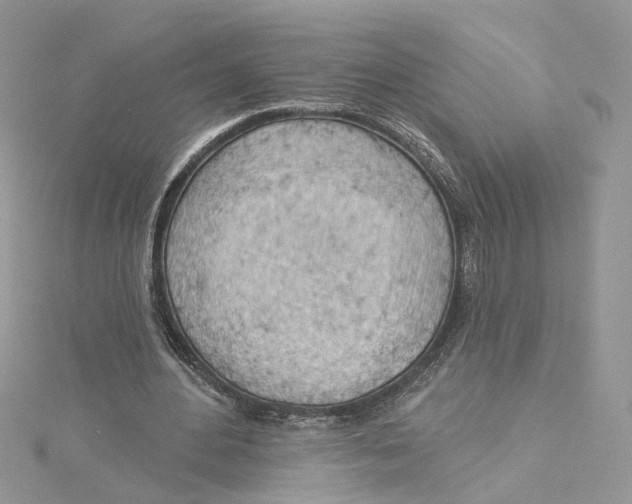 X0000114530484200911161340