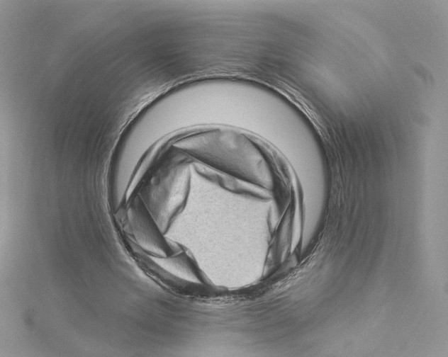 X0000114530485200911161340