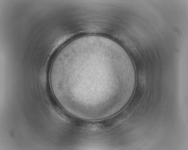 X0000114530488200911161339