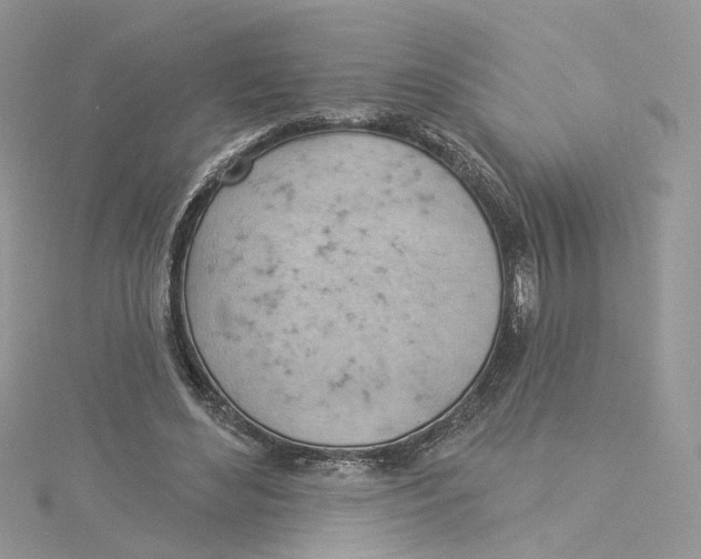 X0000114530492200911161339