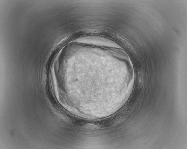 X0000114530494200911161339