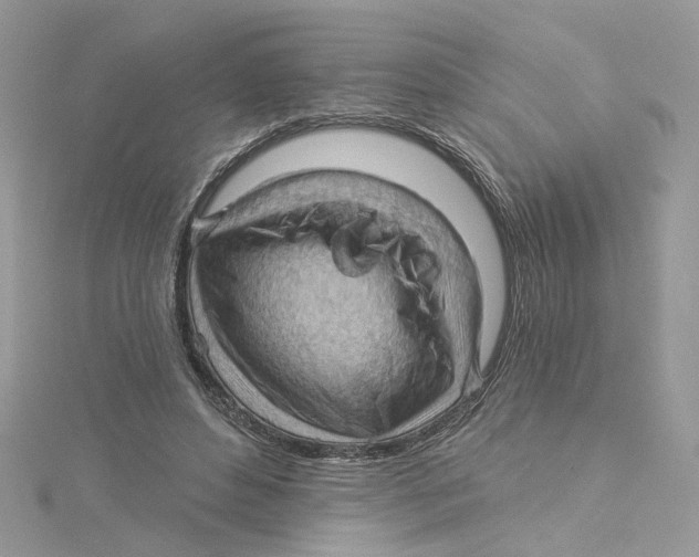 X0000114530496200911161339