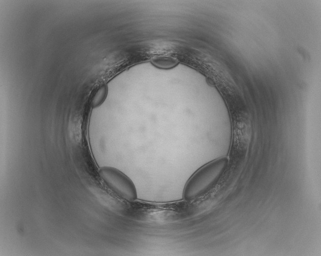 X0000114530504200911161339