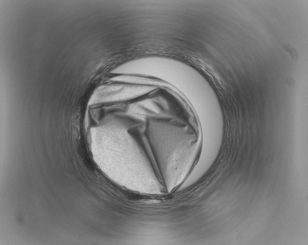 X0000114530509200911161339