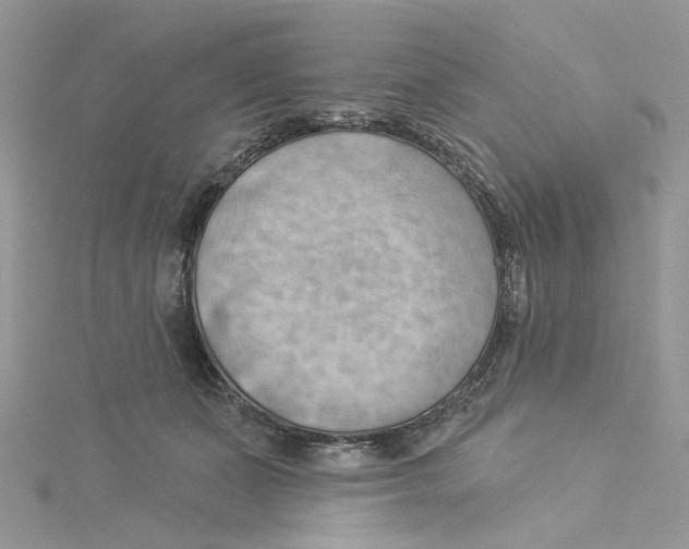 X0000114530511200911161339