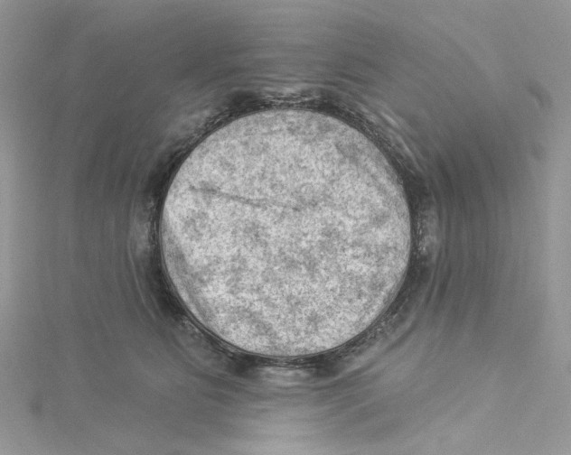 X0000114530515200911161339