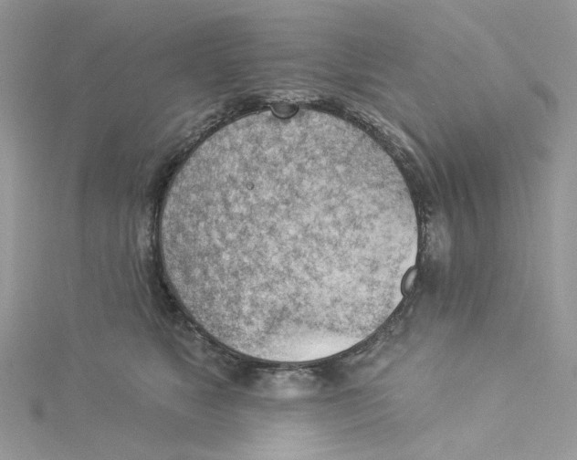 X0000114530517200911161339