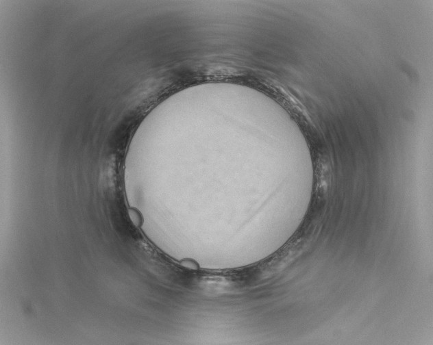 X0000114530519200911161339