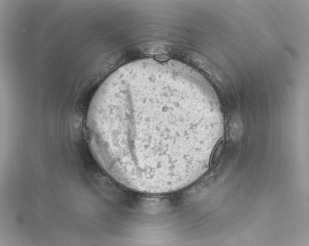 X0000114530521200911161339