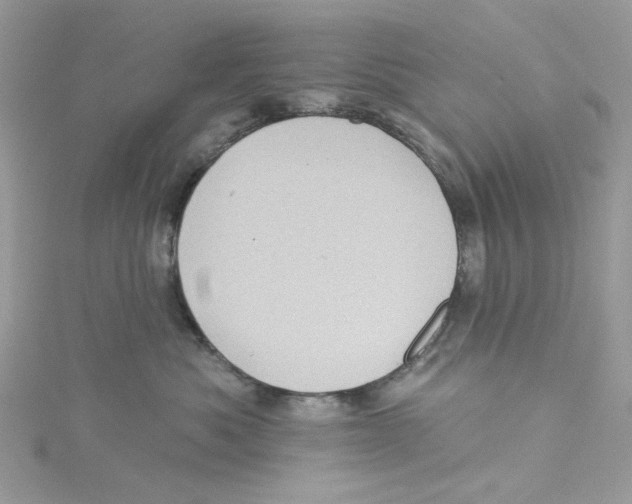 X0000114530525200911161339