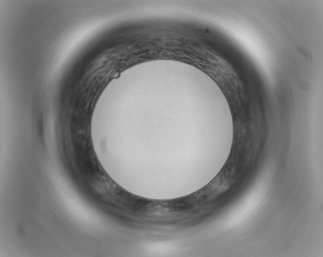 X0000114530526200911161339