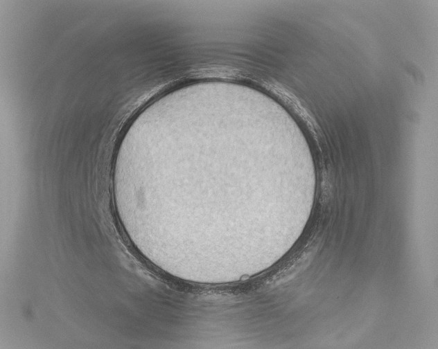 X0000114530529200911161338